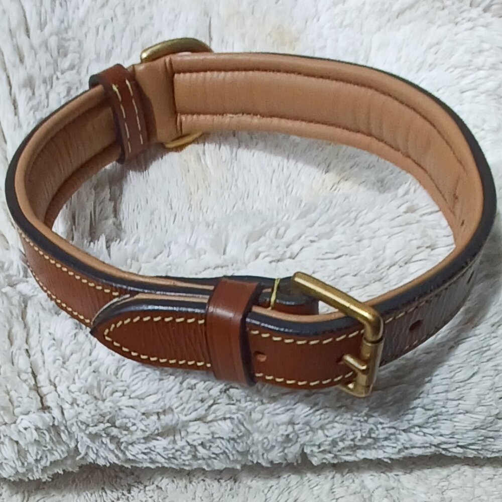 Leather padded dog collar size large brass buckle